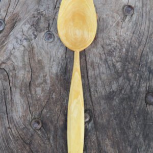Mikey's Asymmetrical Eating Spoon