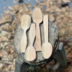 Asymmetrical & Symmetrical Spoon Blanks - 4 Pack